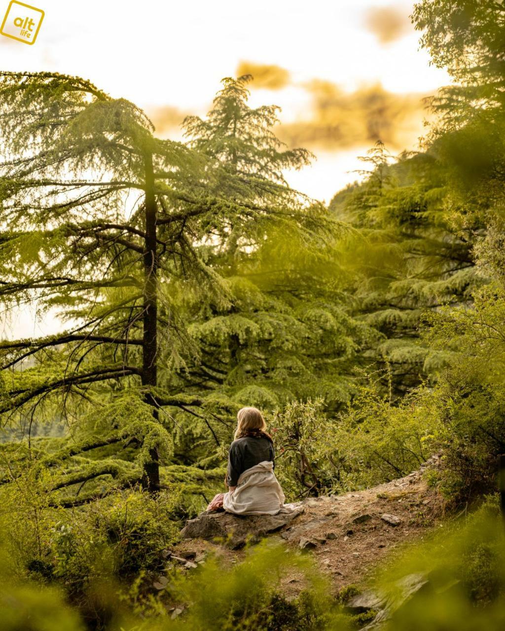 Ostello Alt Life - Dharamkot McLeod Ganj Esterno foto