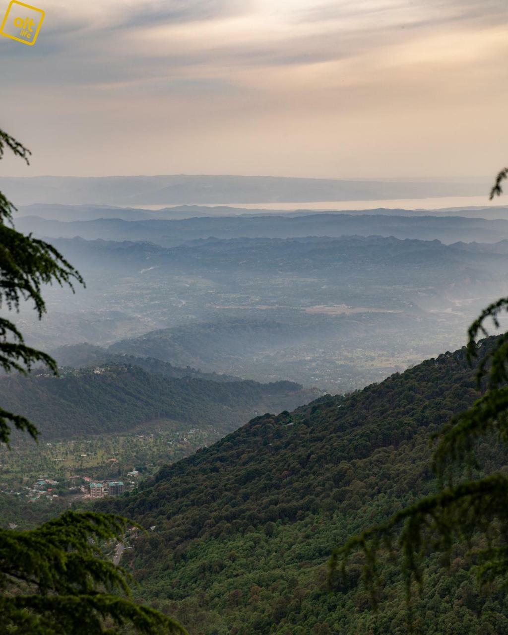 Ostello Alt Life - Dharamkot McLeod Ganj Esterno foto